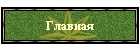 Главная